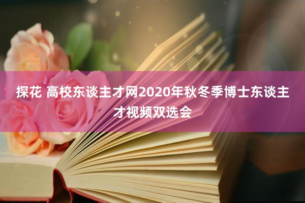 探花 高校东谈主才网2020年秋冬季博士东谈主才视频双选会