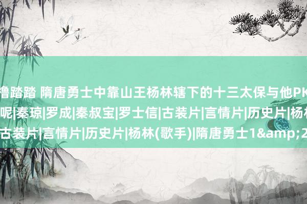 撸踏踏 隋唐勇士中靠山王杨林辖下的十三太保与他PK，杨林是否大略胜出呢|秦琼|罗成|秦叔宝|罗士信|古装片|言情片|历史片|杨林(歌手)|隋唐勇士1&2